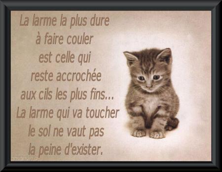une larme, cest...